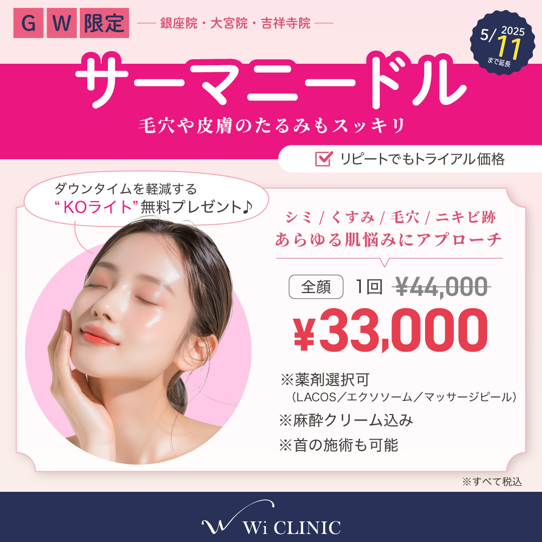 【GW特集】サーマニードル