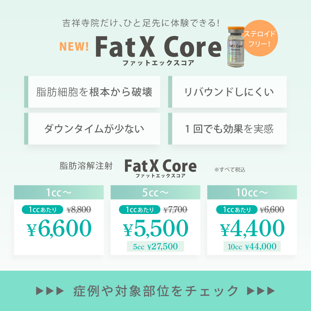 第4世代脂肪溶解注射[FatX Core]ファットエックスコアキャンペーン