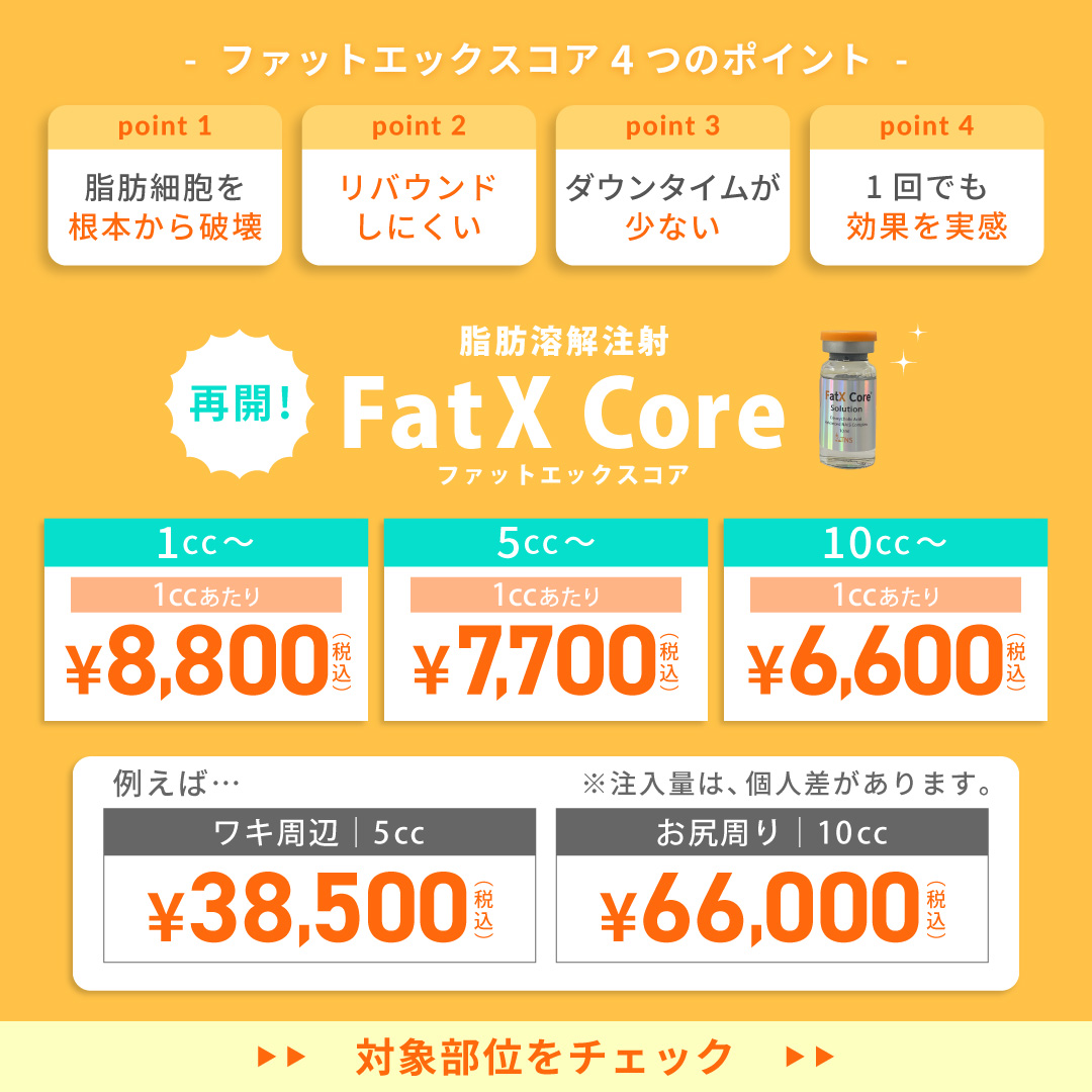 【2026】第4世代脂肪溶解注射[FatX Core]ファットエックスコア